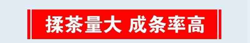 游客到亚洲花卉科创谷买蝴蝶兰。李冉 摄(资料图)